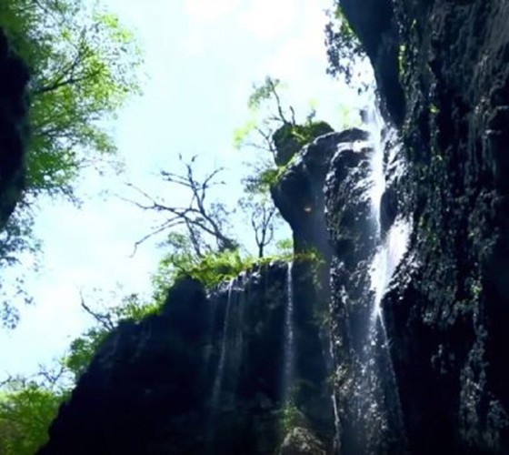 青山綠水，白龍江畔江畔息白鷺，兩岸綠橄欖入眼的都是純樸自然枝上花開(kāi)，春來(lái)水暖魚(yú)蝦戲水，鳥(niǎo)語(yǔ)花香心中充滿(mǎn)著舒暢之感祥宇生態(tài)產(chǎn)業(yè)園，位于隴南市武..